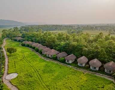 Luxury Barahi Jungle Lodge