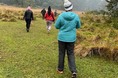 Jungle Stroll - Chitwan