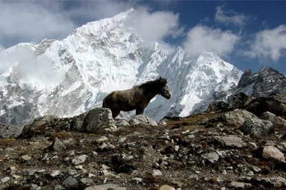 Nuptse View from Gorekshep