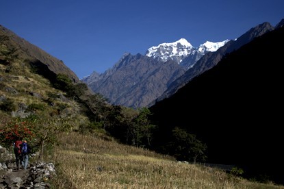 View of Mount Shringi.