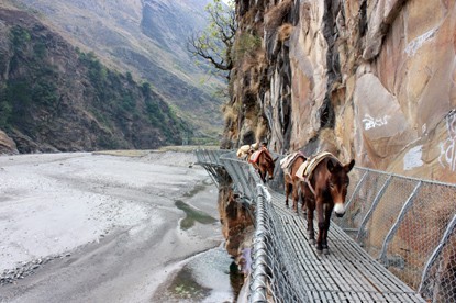 Bridge at Manaslu.