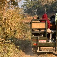 Jeep Safari- Chitwan